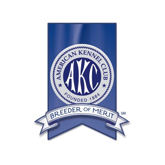 AKC Breeder of Merit badge